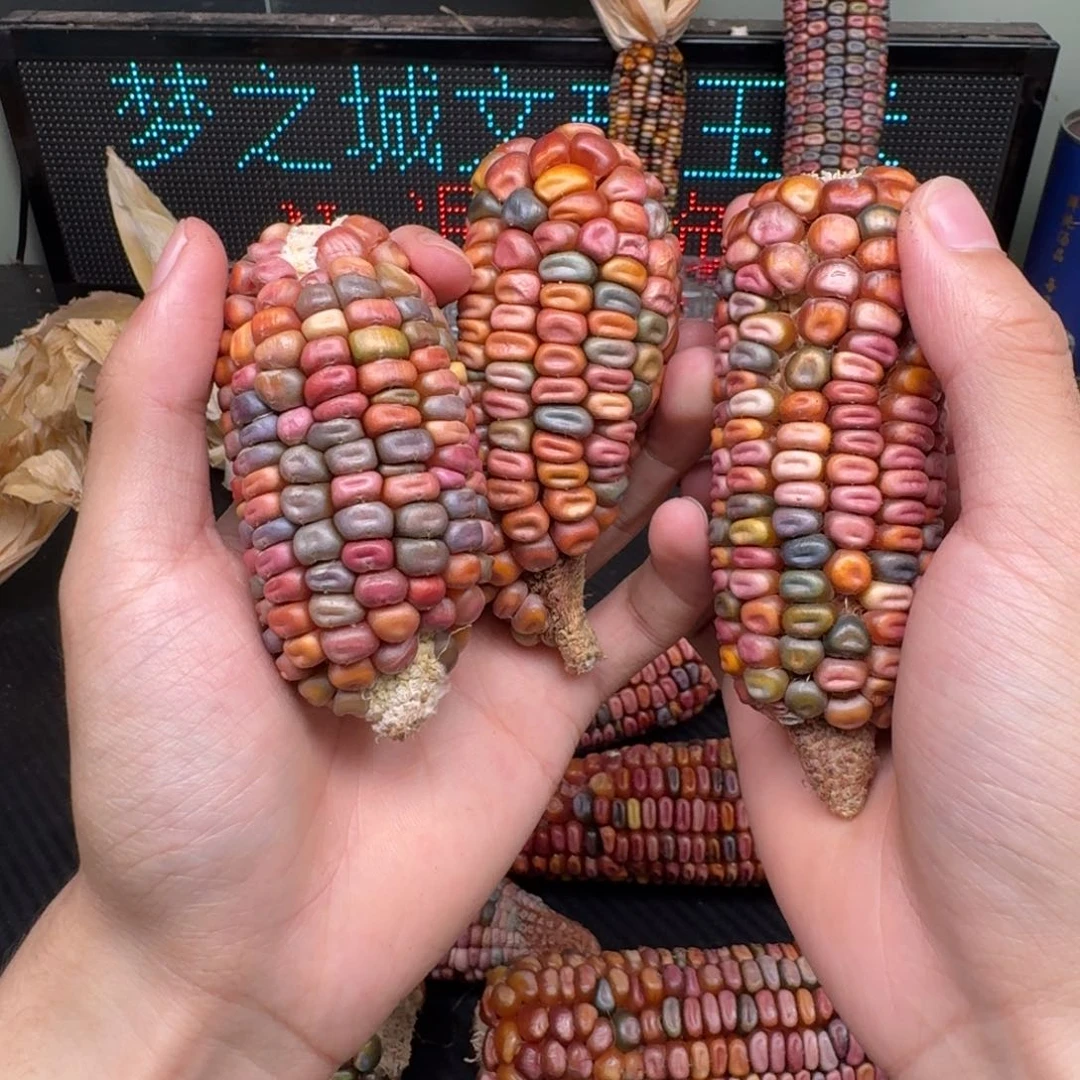 柏香籽/百香籽吊坠M****