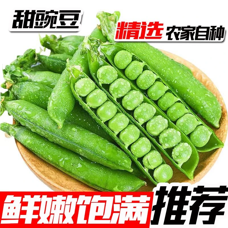 水果豌豆正宗云南新鲜甜脆豌豆荚高山甜脆蔬菜现摘现发优质直供