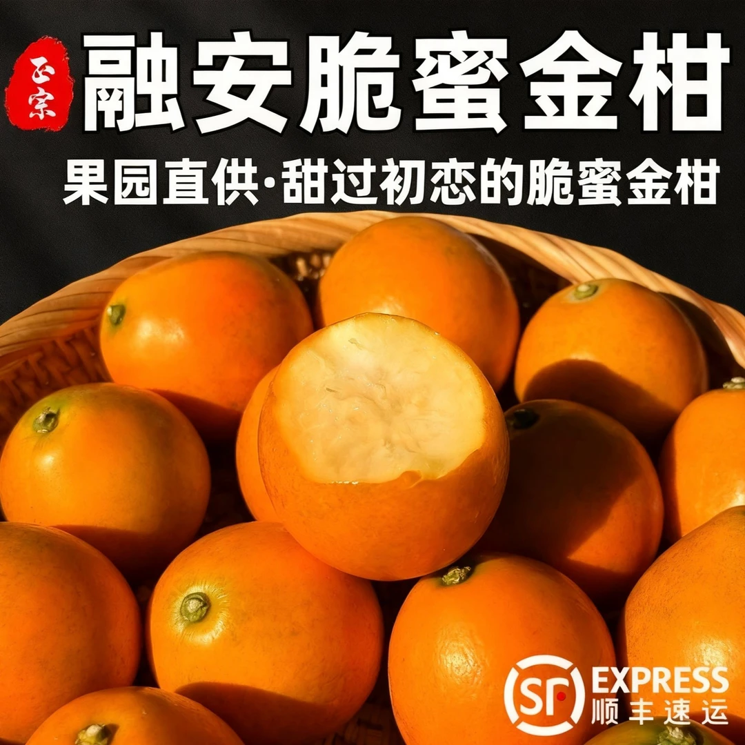 【三代脆蜜金柑】广西融安产地新鲜脆蜜金柑桔现摘一级纯甜多汁无核