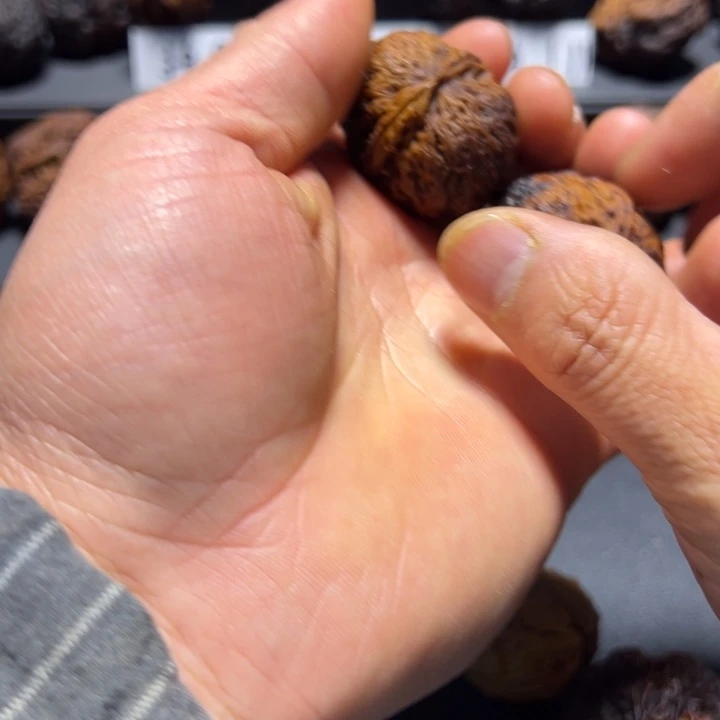 把件文玩核桃B狮头元宝36mm