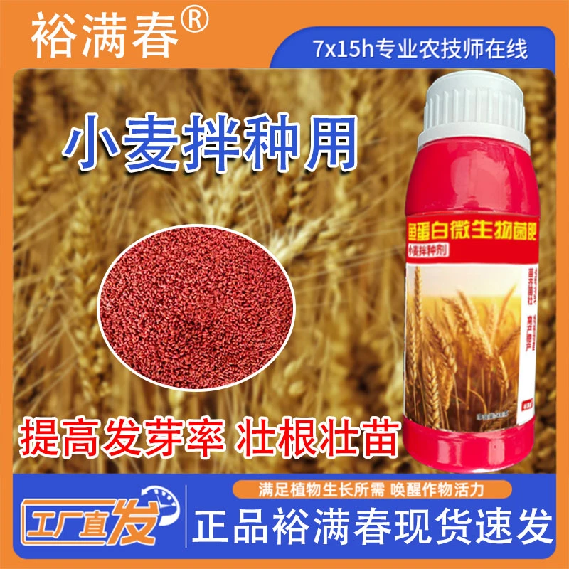 小麦拌种促出苗齐生根壮苗抗寒防冻抗倒伏增产高产
