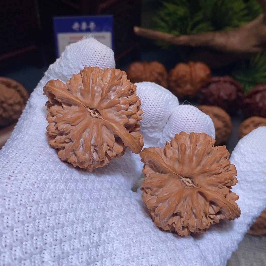 44尺全品无修白茬 满天星