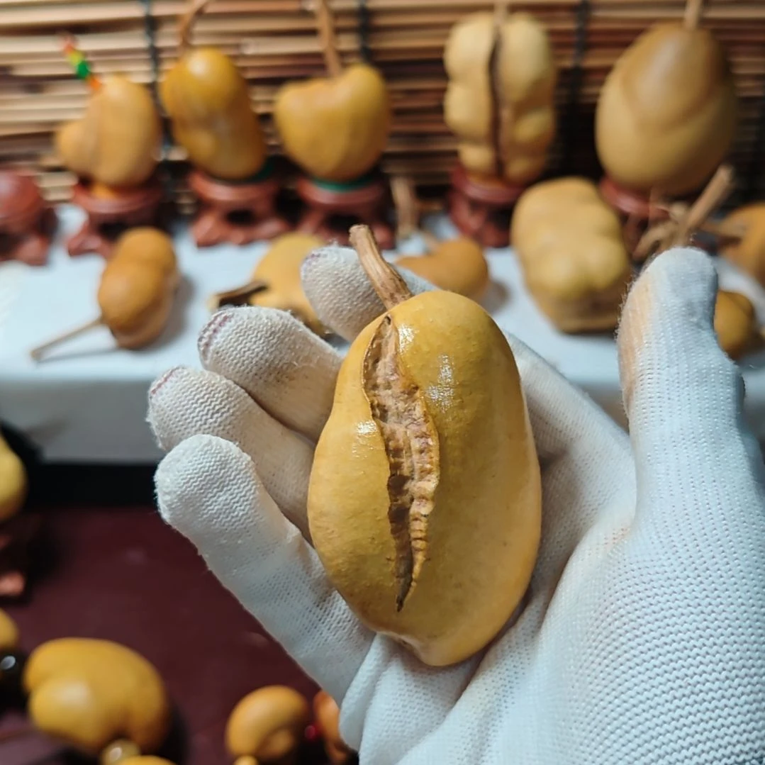 金****精品土豆葫芦一物一拍