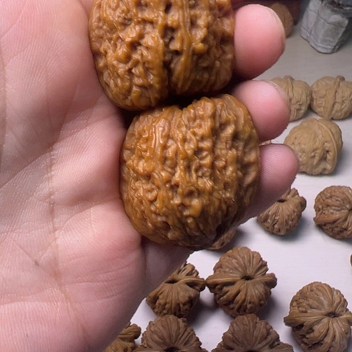 三****大度不太明显吧哈哈