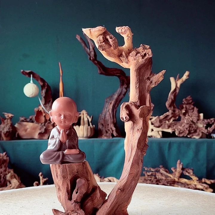 博***馆木043 金丝红木羊蹄甲半成品