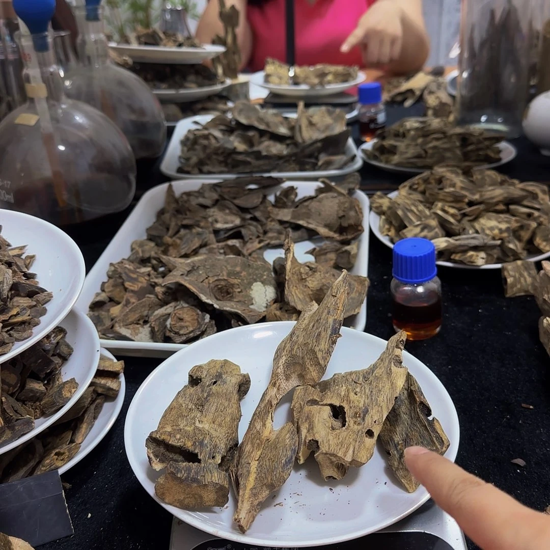 沉香沉香枕醇化虫漏老料100克+