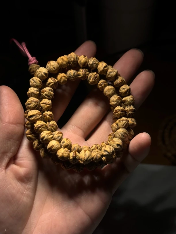 热振柏香籽横打原桩大嘴108