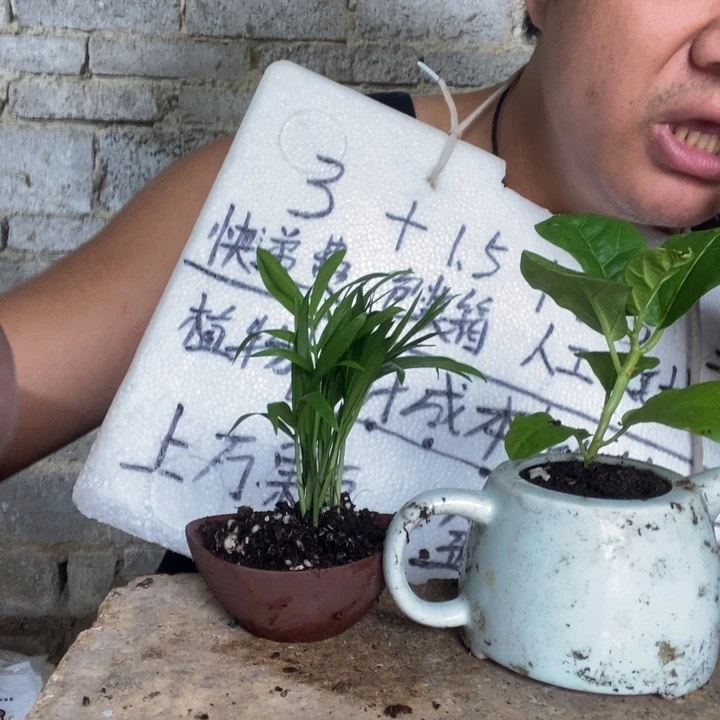 退款拉黑一物一拍68