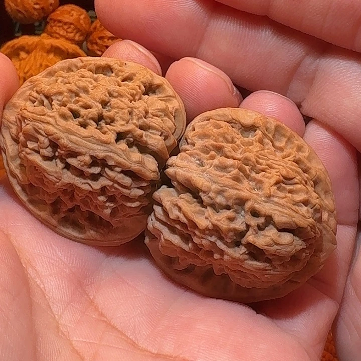 三角疆尺寸39精品精配全品无修