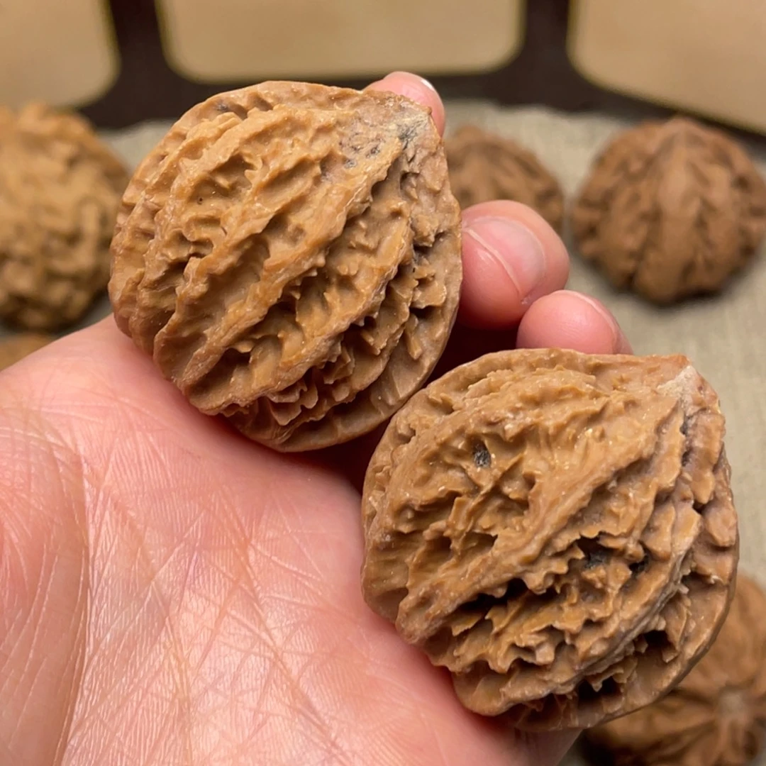 文玩核桃把件秦岭核桃9号