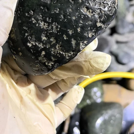 芸***曦藏玉药王石原石一个摆件