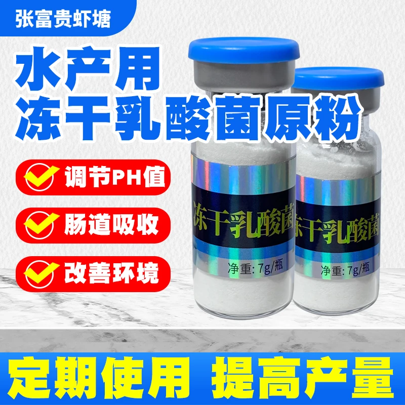 冻干乳酸菌原粉净水降pH鱼虾蟹塘用调节肠道复合有益菌水产养殖