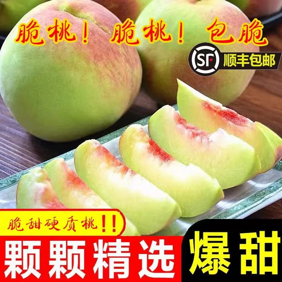 【顺丰上门】青脆桃应季新鲜脆甜水蜜桃整箱包邮水果桃子现摘现发