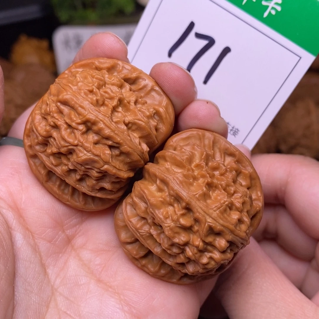 把件文玩核桃171白狮子4.1
