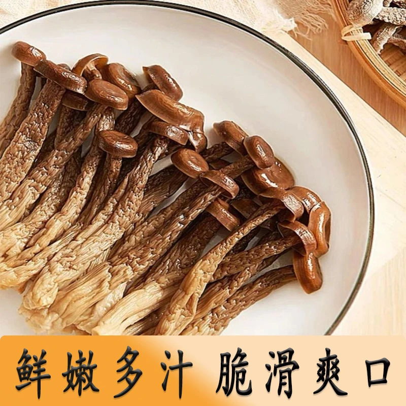 农家脆脆菇高山无硫鹿茸菇干货试吃装鹿茸菌新鲜菌菇