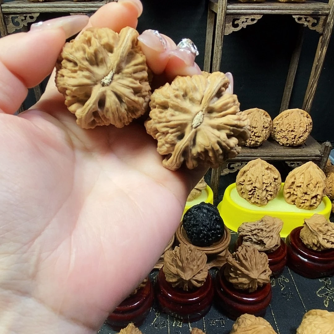 核桃全品无修大粗筋