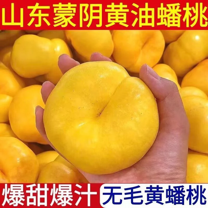 【顺丰包邮】山东蒙阴黄金油蟠桃无毛新鲜应季现摘现发甜嫩多汁