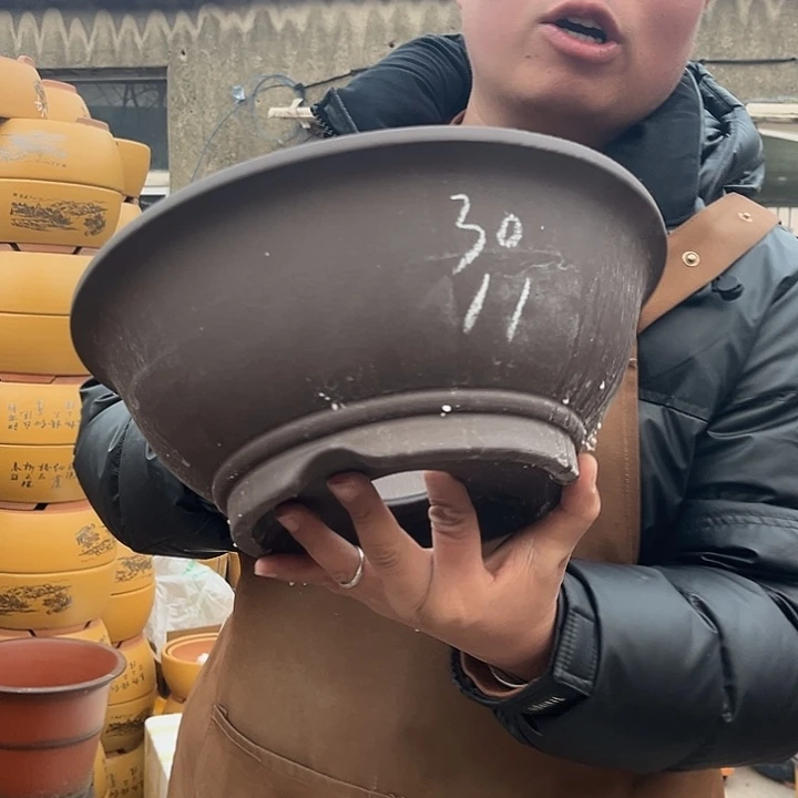 紫砂花盆紫砂花盆盆栽