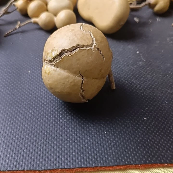 ?****录天裂苹果葫芦厚皮