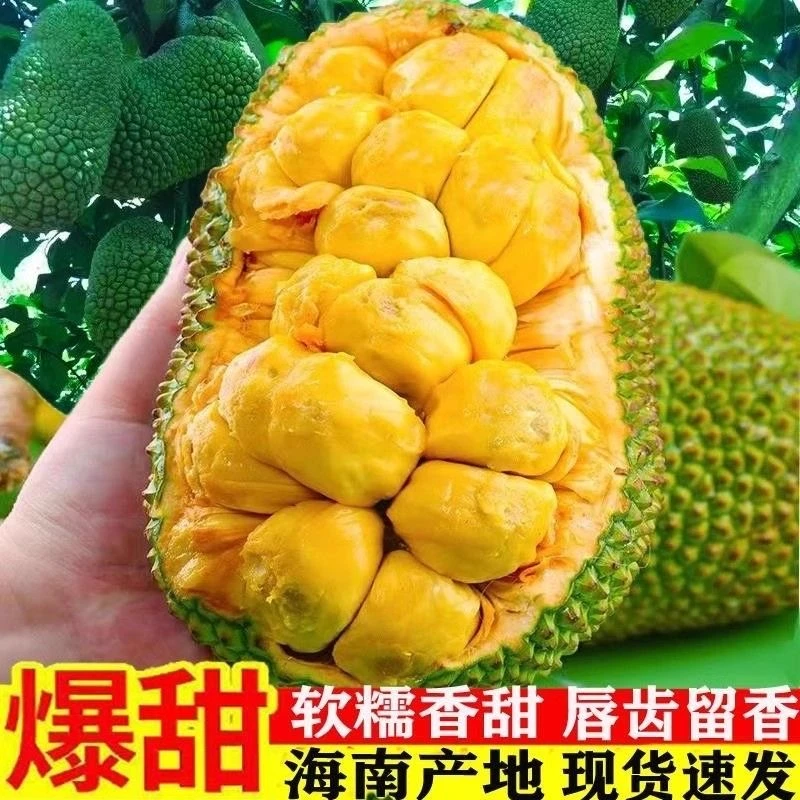 正宗海南榴莲蜜新鲜热带水果湿包软糯香甜尖拉蜜非榴莲包邮一整个