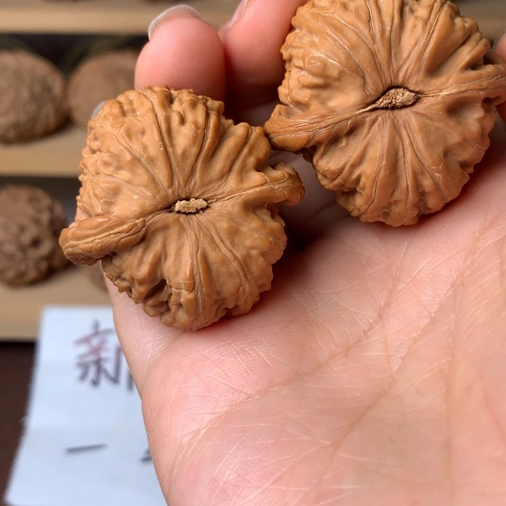 乐***大叶紫檀（黑酸枝木类）白狮子5