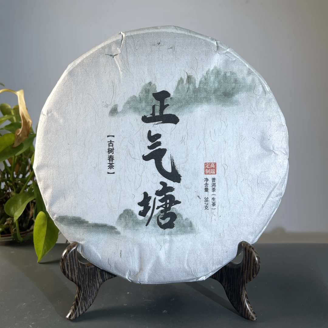 CY0940 2024年正气塘古树春茶 生 357克