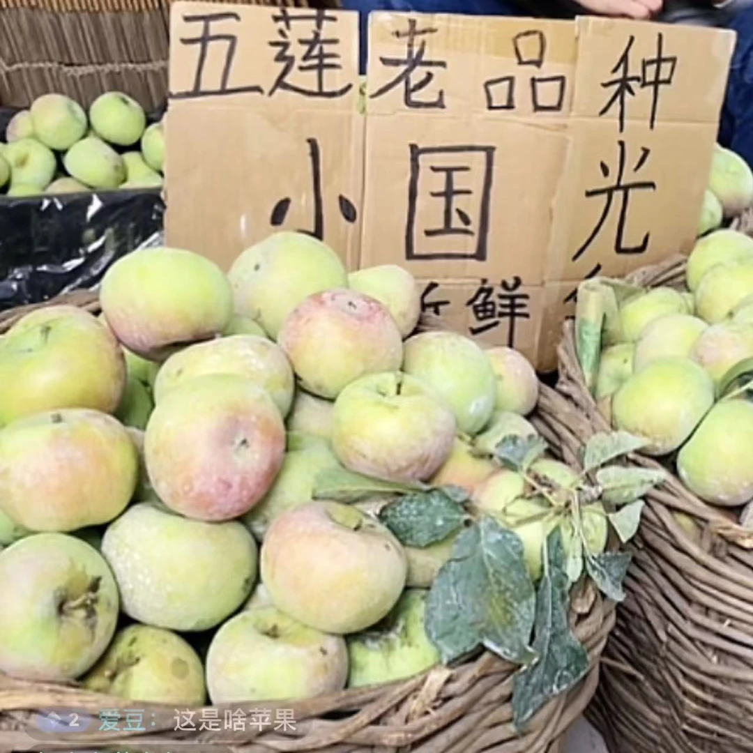 五莲小国光老品种酸甜口感