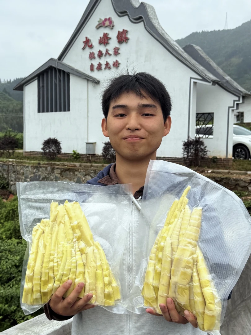 粤北九峰苦笋已焯水，现在每天都要上山挖