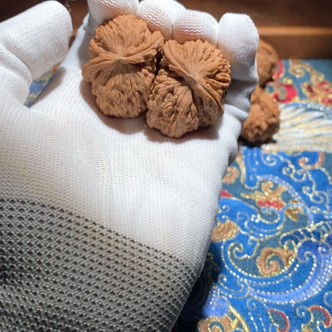 文玩核桃把件雨*白狮子半壁