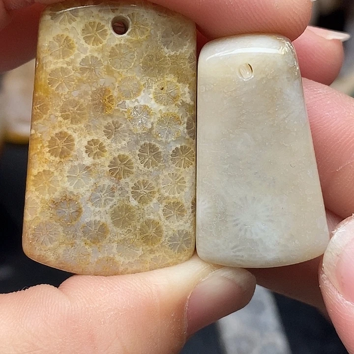 硅化玉未镶嵌颈饰