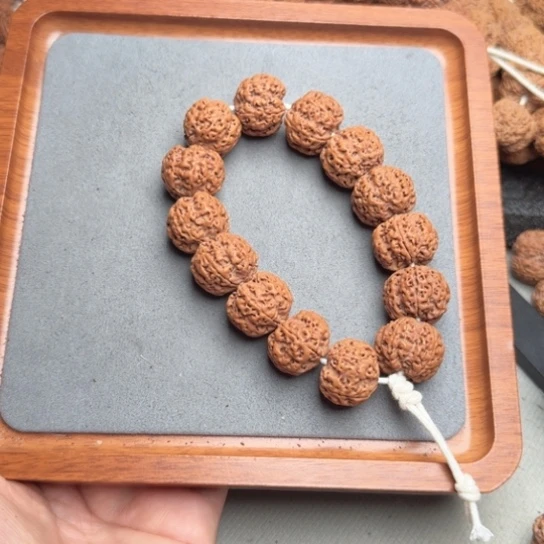 菩提19号尼泊尔大金刚21蜂窝