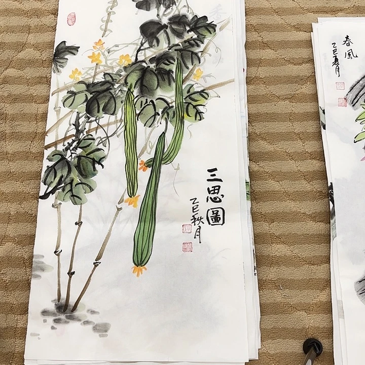 国画花鸟的翅膀是一个