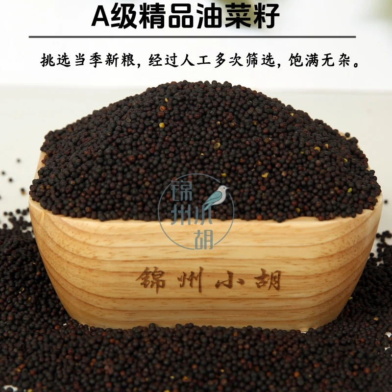 油菜籽鸟食 真空鸟粮当年新粮 包邮玉鸟丝雀鹦鹉食