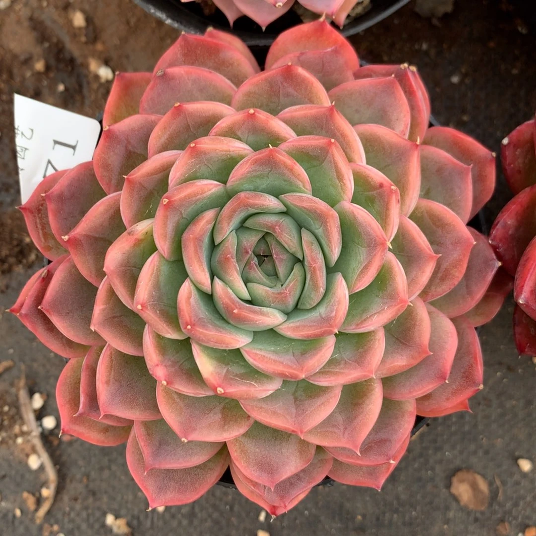 571新年快乐发发发