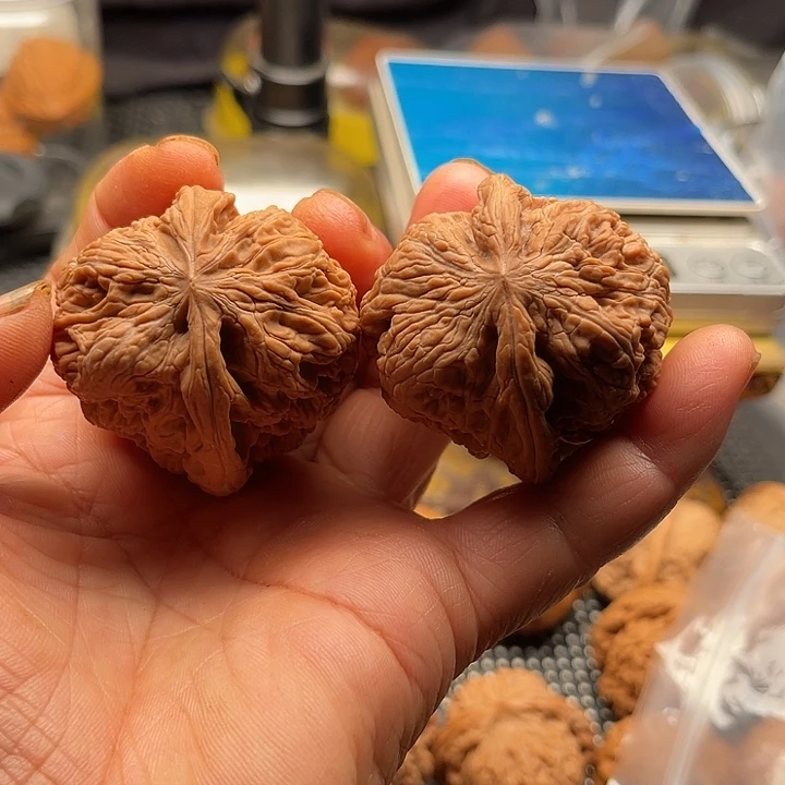 把件桃核全品华北将军边45肚45高45