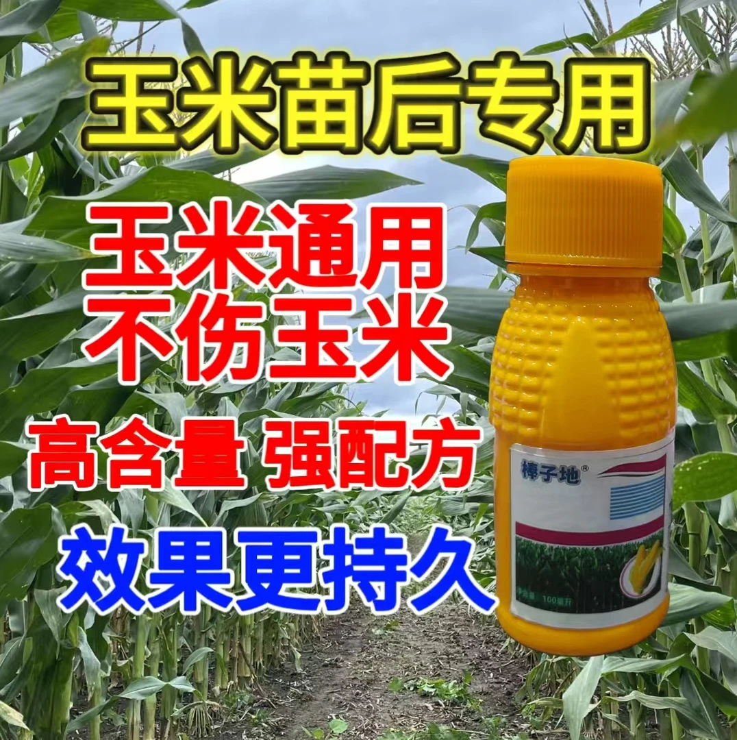 船-买一送一正品保障玉米地苗后专用不伤玉米苗持久消除