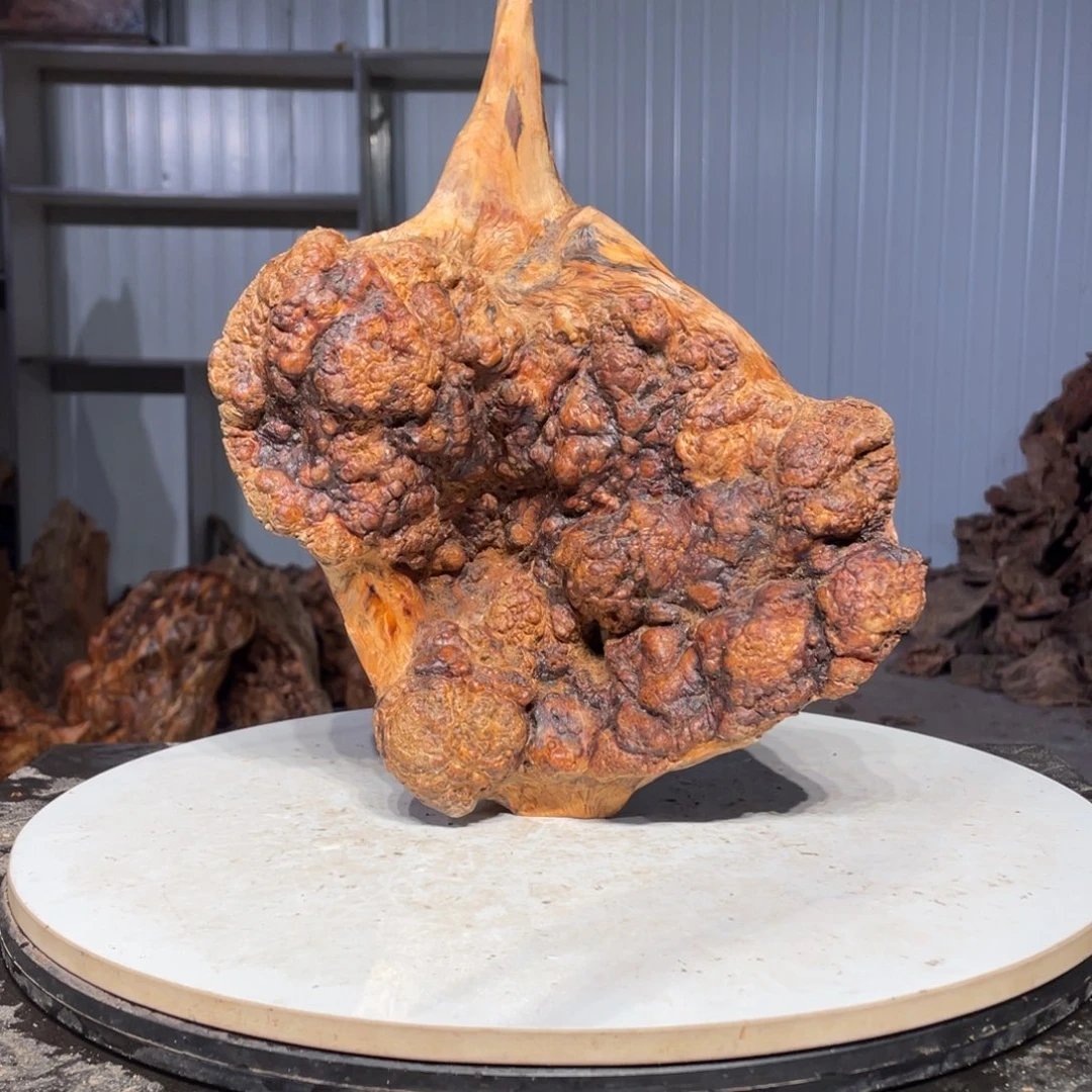 清***月木猛子琥珀木摆件10