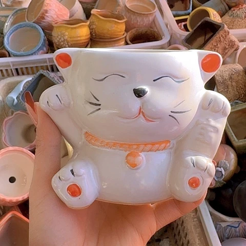 陶瓷陶瓷！111111111