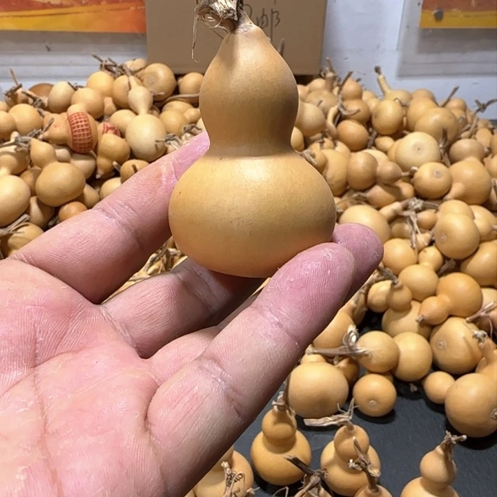 葫芦美国葫芦小葫芦