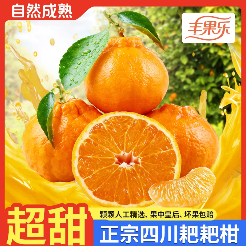 S四川春见耙耙柑新鲜带叶发货香甜多汁爽口细腻的手剥水果
