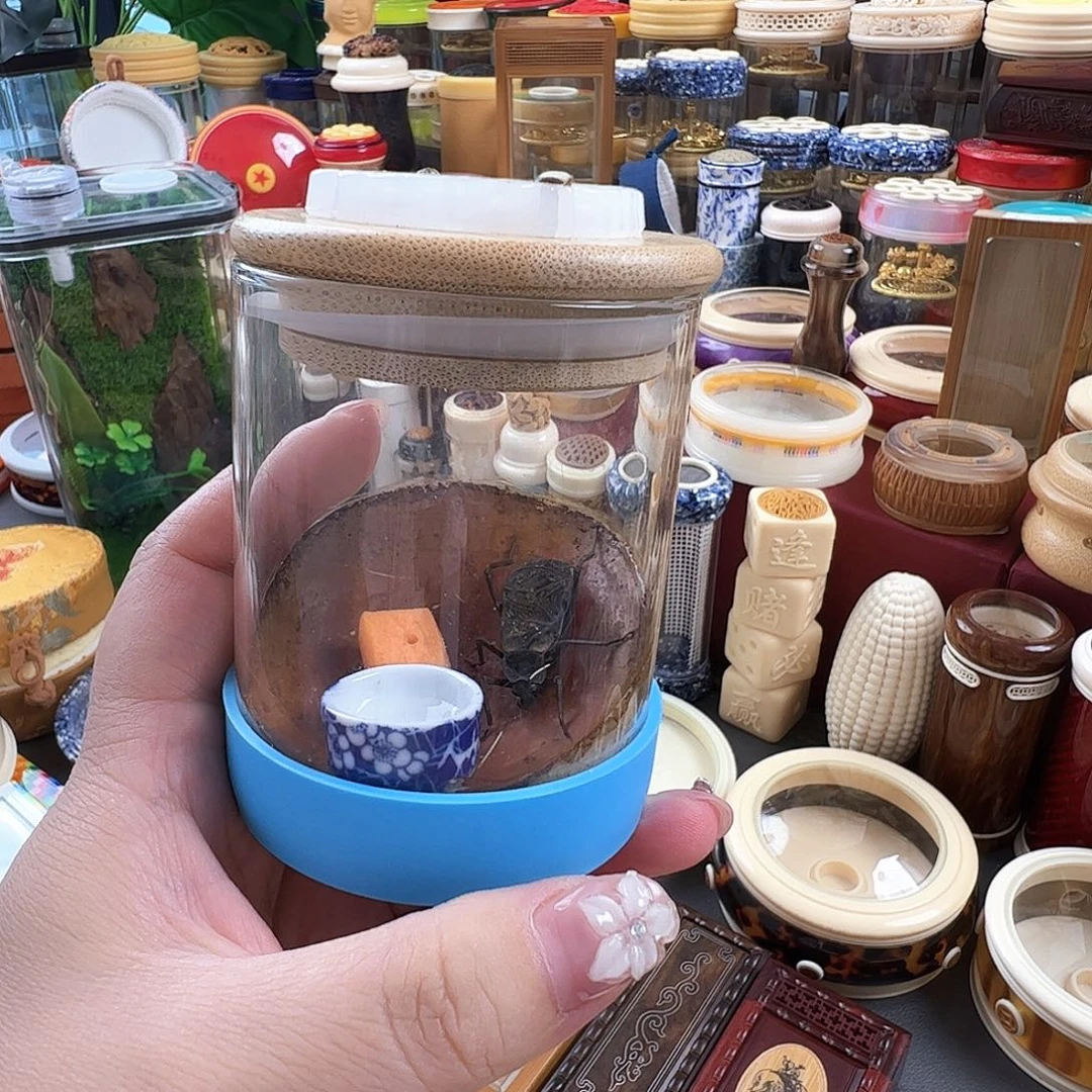 哈哈哈生态罐带电报一个