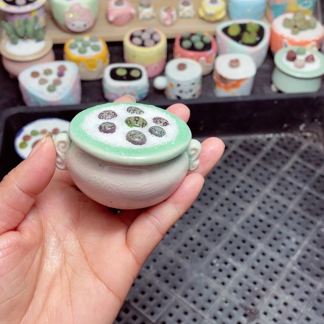 w1566 -零下地区拍保温箱-15支持寄养