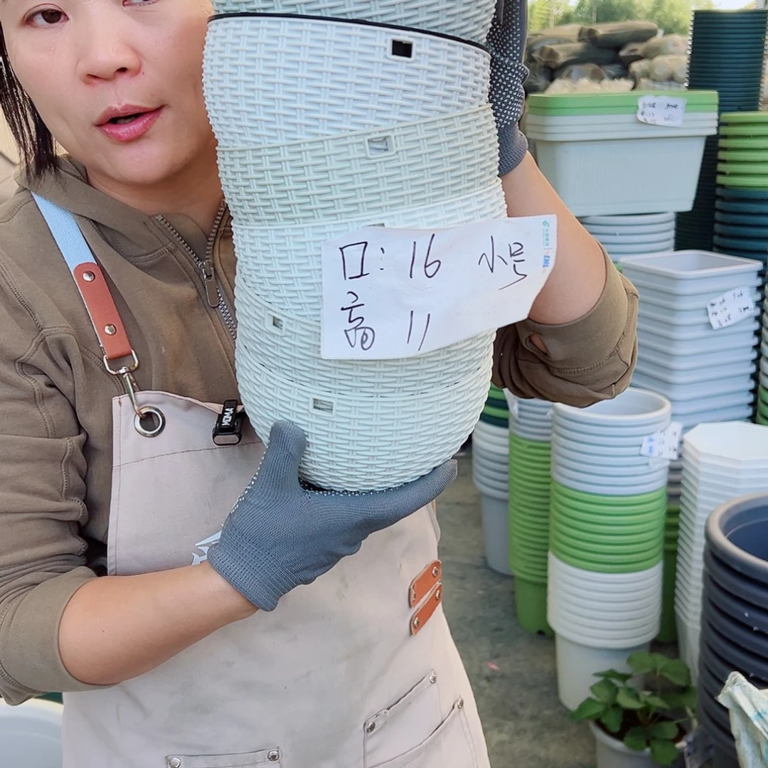 瑕疵吊兰小号米白色6套