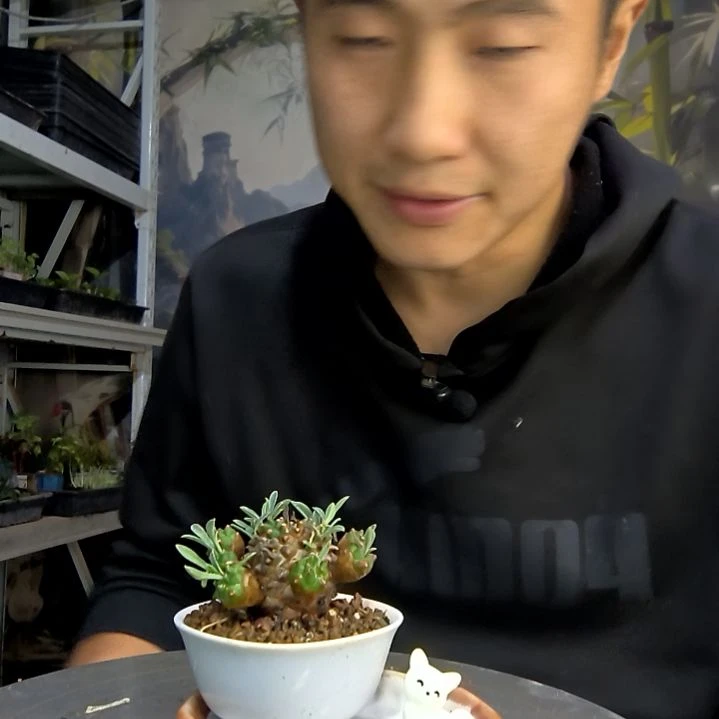 九**～中青园艺一物一拍456