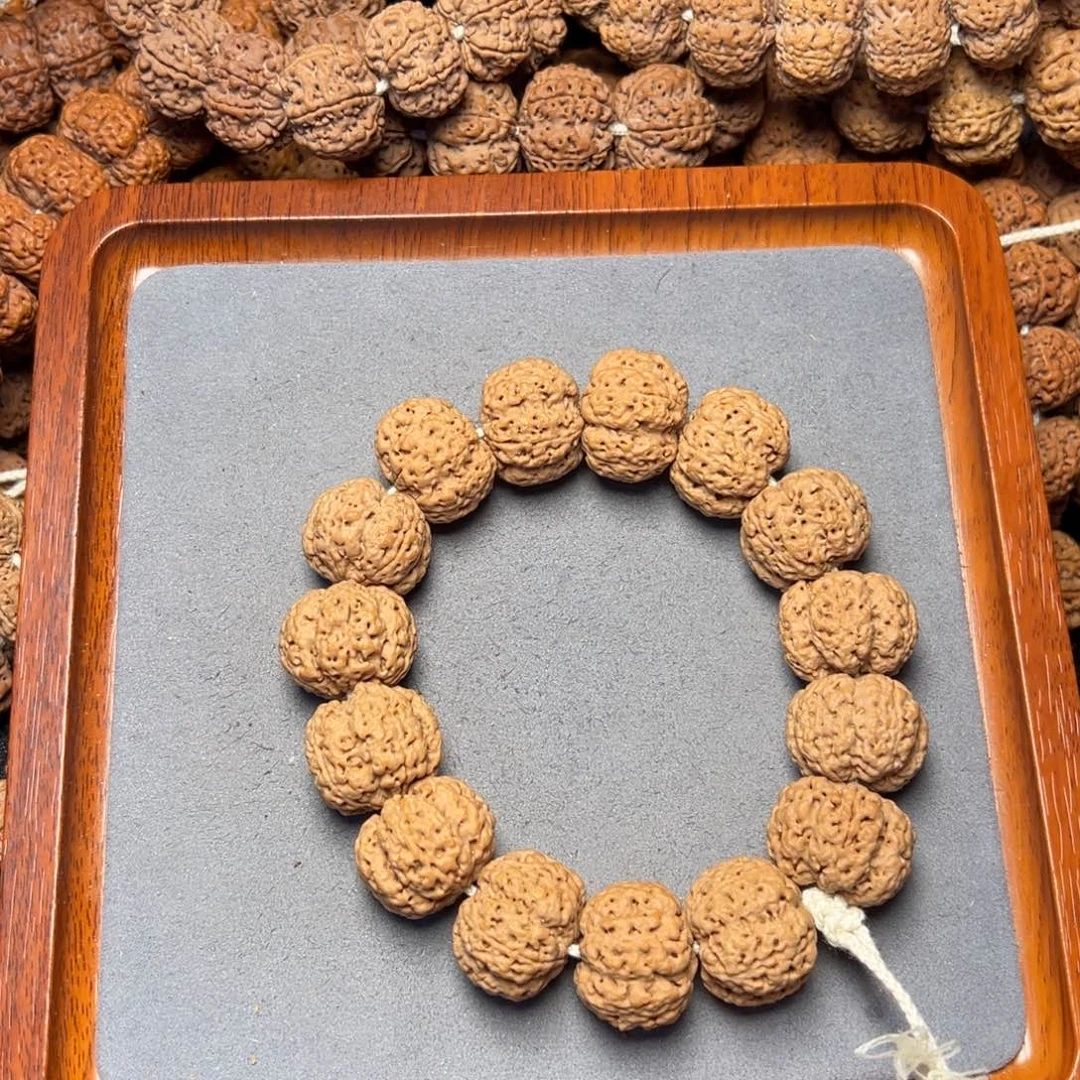 8号尼泊尔大金刚23粗筋梅花五龙梁