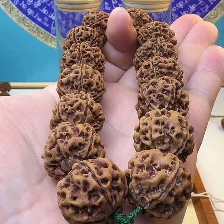 金刚菩提手串原生态大金刚双龙