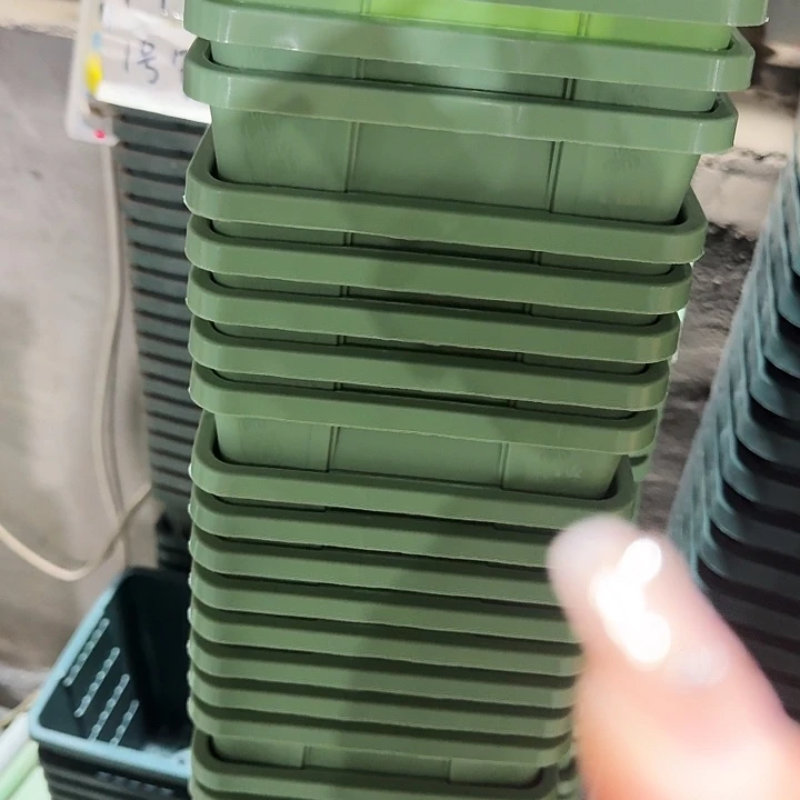 编号103果绿无托10个特价