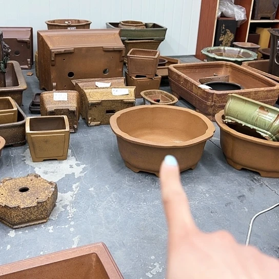 红陶南*园紫砂的花是什么