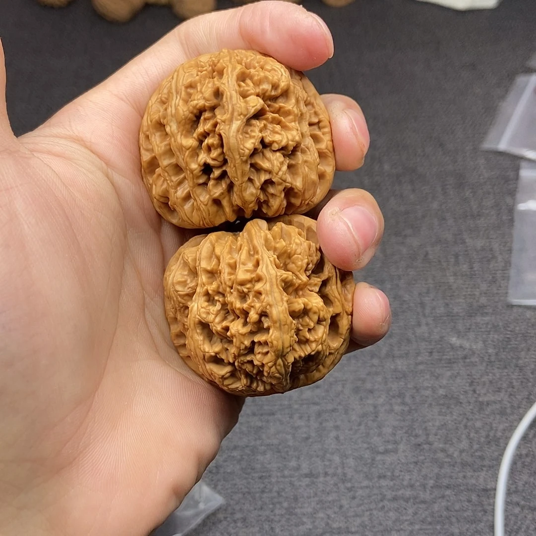 核桃粗筋47尺寸编号636