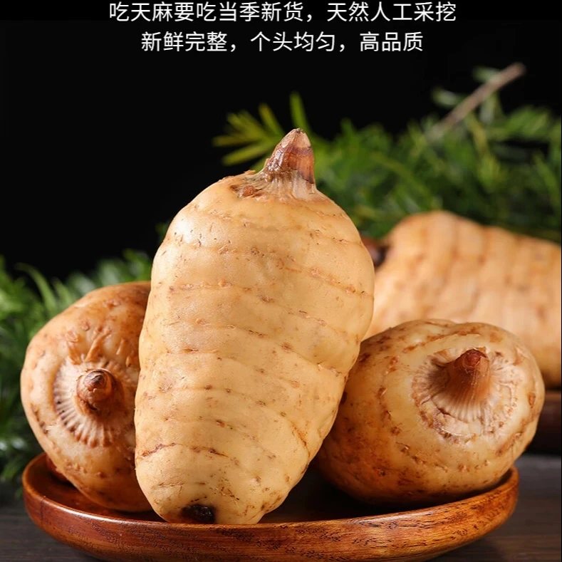 新鲜天麻☞正品保真